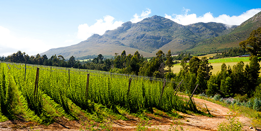 Wohnmobile mieten George