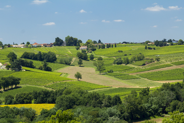 Road Trip in Bordeaux, Frankreich