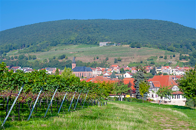Das Mittelstück Ihres Road Trips