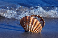 Mietwagen für Urlaubsmitbringsel