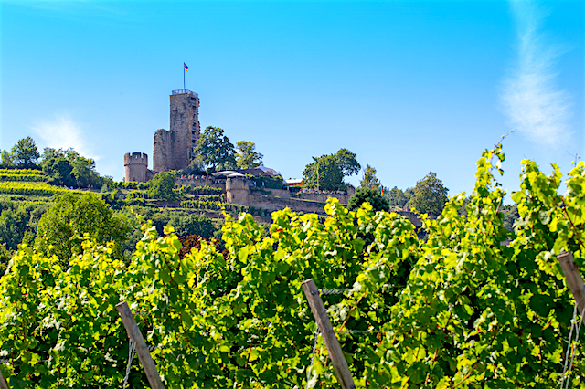 Der nördliche Teil der Weinroute